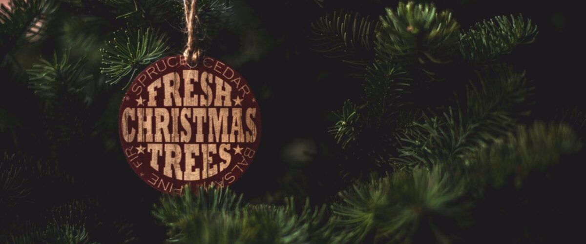 Meaningful Christmas Ornaments for Healing and Charity