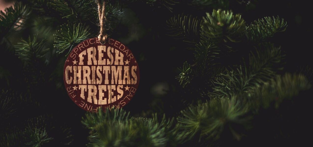 Meaningful Christmas Ornaments for Healing and Charity