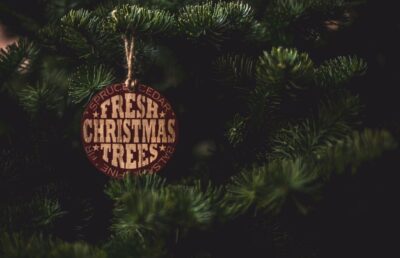 Meaningful Christmas Ornaments for Healing and Charity