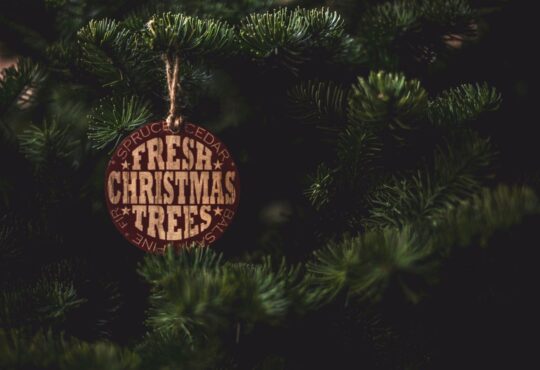 Meaningful Christmas Ornaments for Healing and Charity